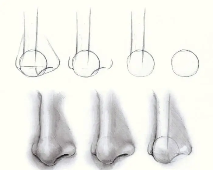 dessiner un nez étape par étape