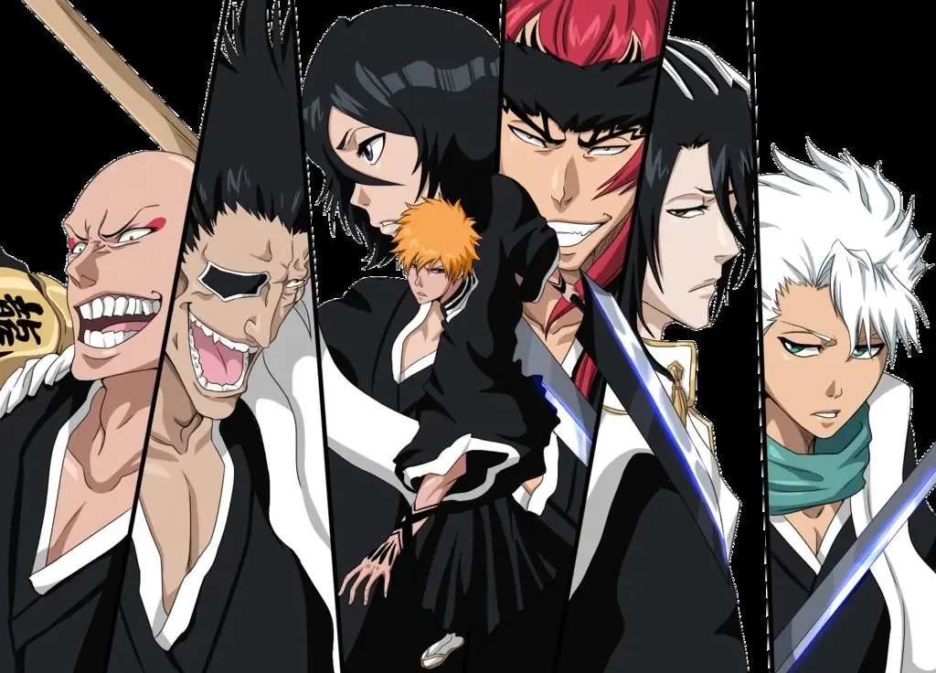 The most famous anime series: "Naruto", "Bleach" and others