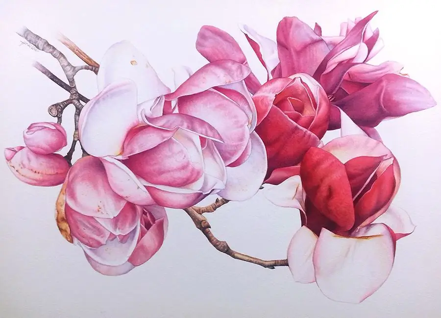 Mga bulaklak sa watercolor