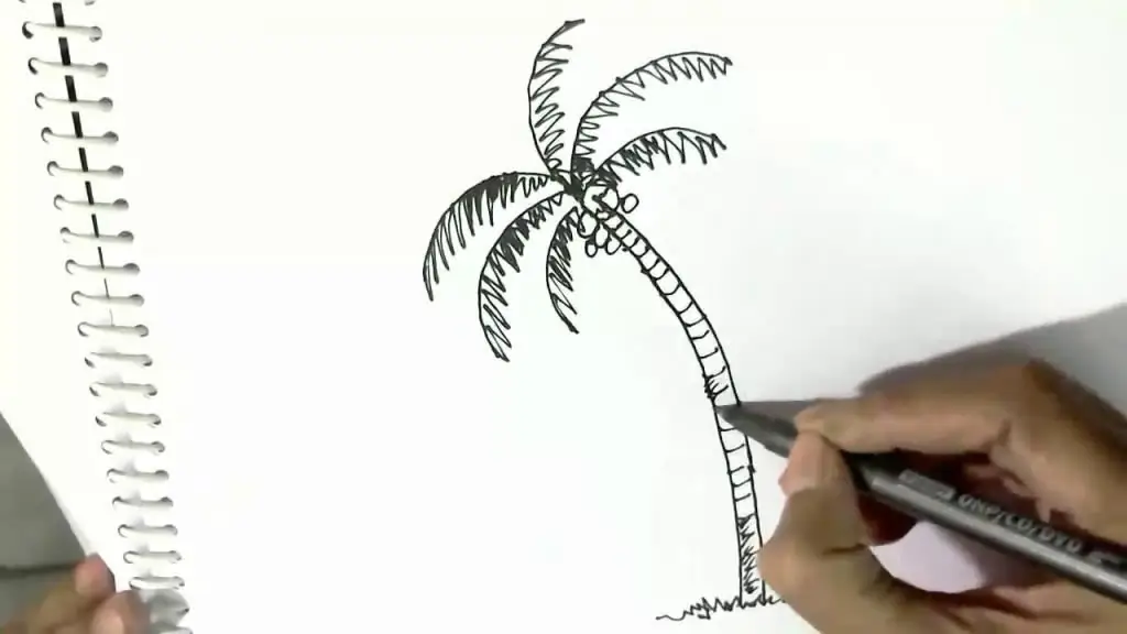 How to draw a simple palm tree?