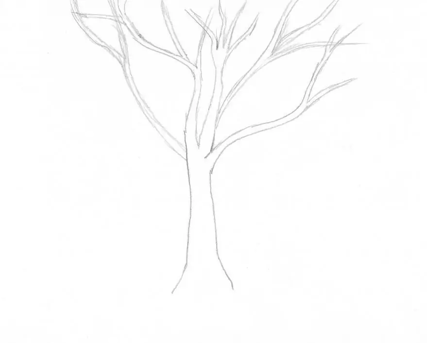 How to draw a birch with a pencil step by step