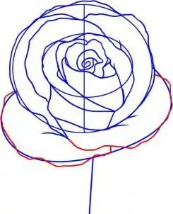 Flor rosa