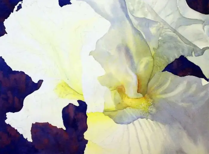 iris zeichnen aquarell