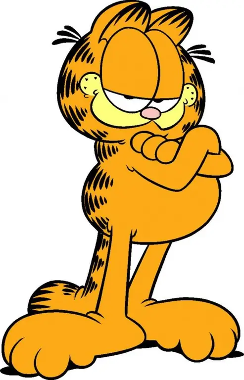 A raça do gato de Garfield. Mito ou realidade?