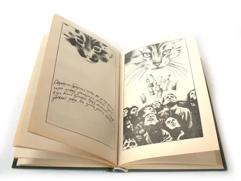 illustrations in the book