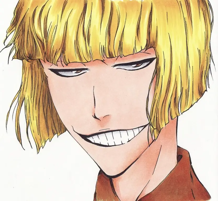Character Hirako Shinji: character, biography, opportunities Character Hirako Shinji: character, biography, opportunities