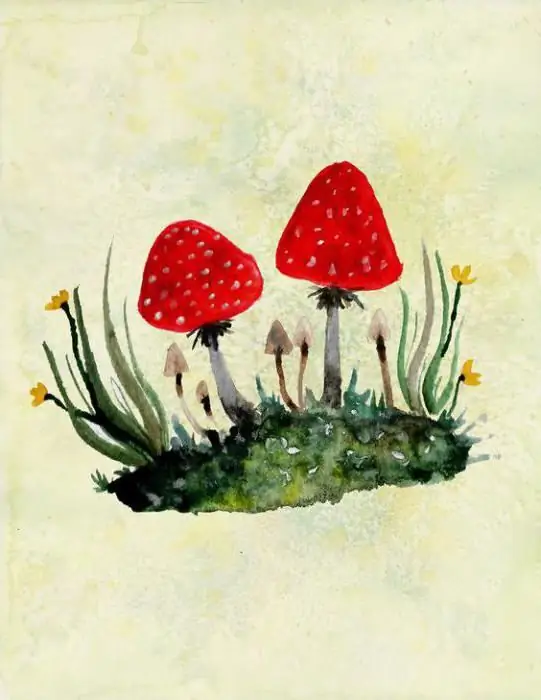 menggambar agaric lalat dengan pensil