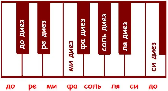 Колдонуулар: курч, жалпак, бекар