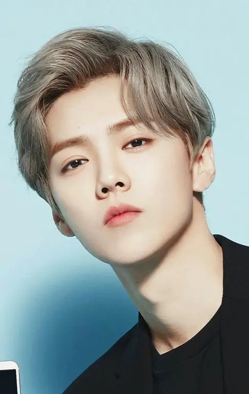 exo luhan يترك الفرقة لماذا