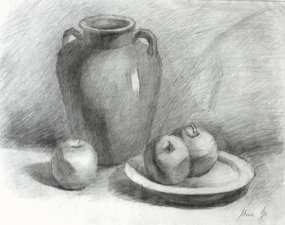 still life sketch