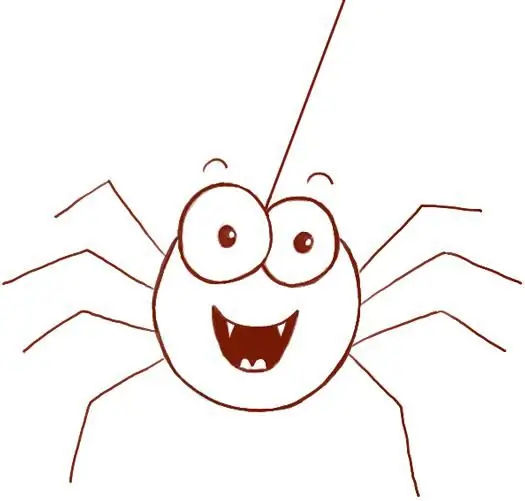 funny spider