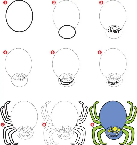 how to draw a spider in 9 steps