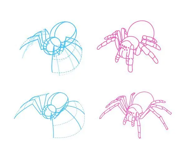 como dibujar una tarantula