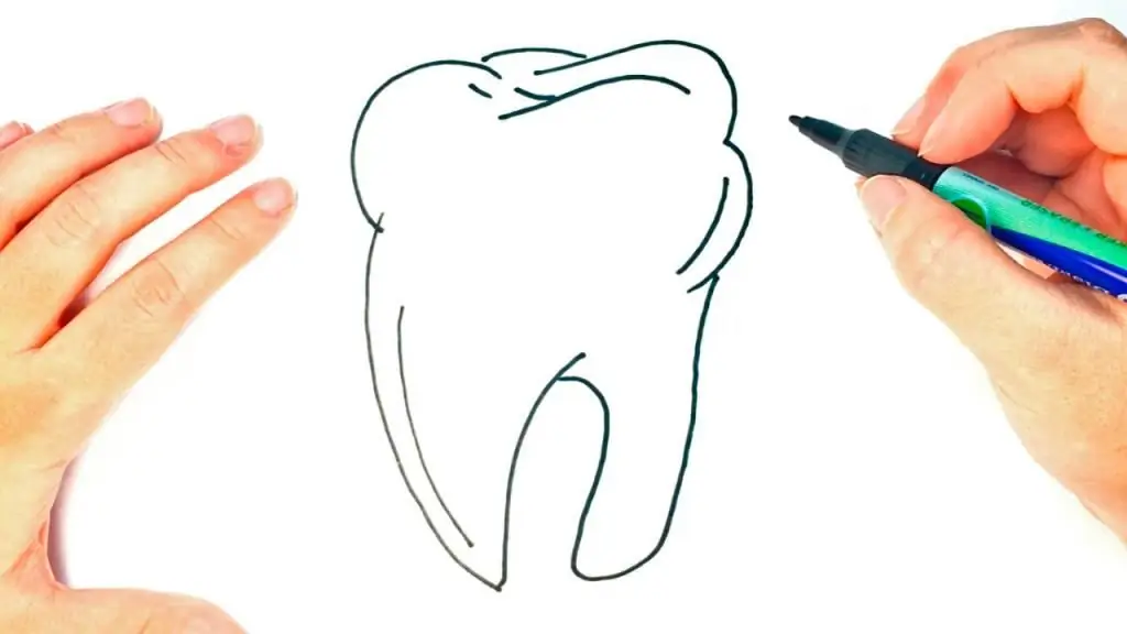Kā uzzīmēt zobu, ja neesat mākslinieks vai zobārstniecības students