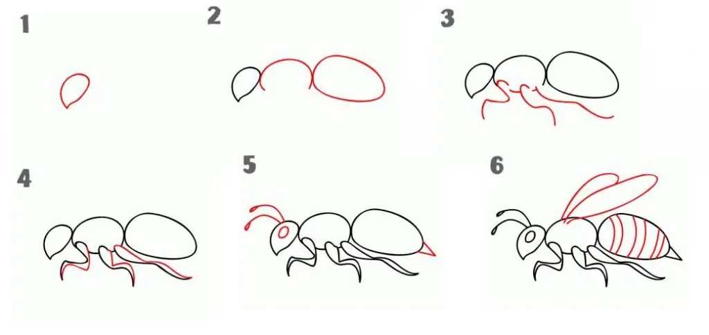 how to draw wasp