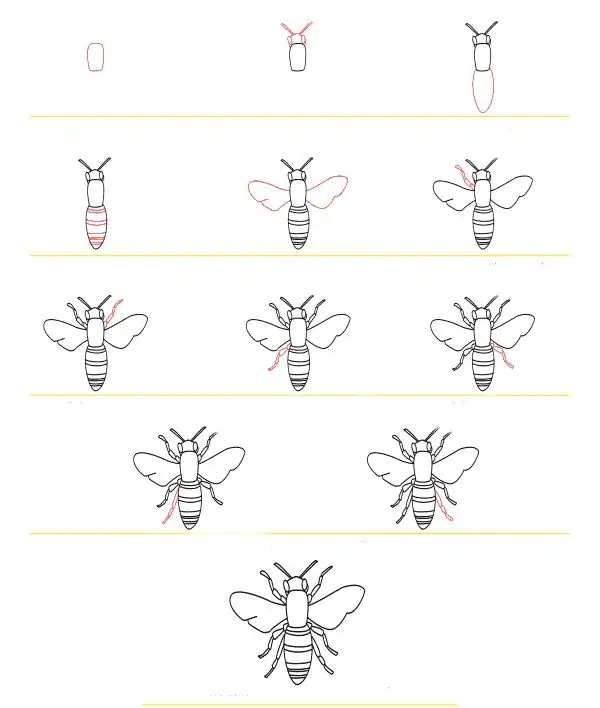 Fasi del disegno di una vespa