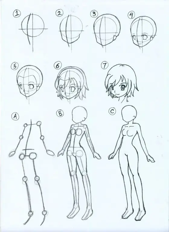 drawing anime step by step