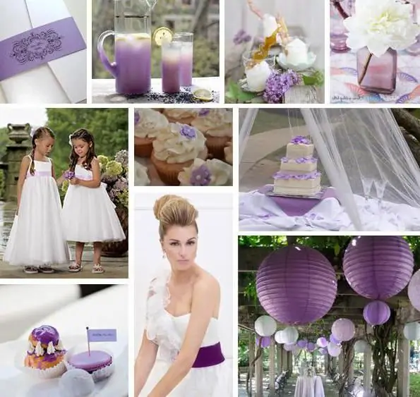 Shades of purple: varieties, combination with other colors