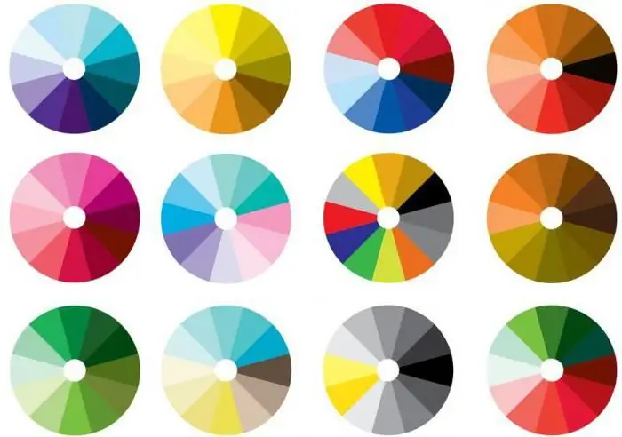 The best color combinations. Color circle. Color palette