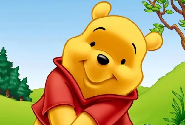 Winnie the Pooh