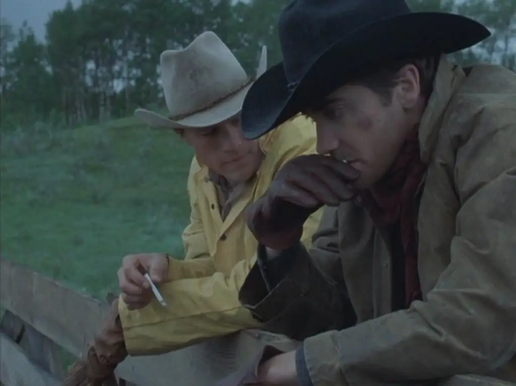 "Brokeback Mountain": movie reviews, plot, actors and their roles