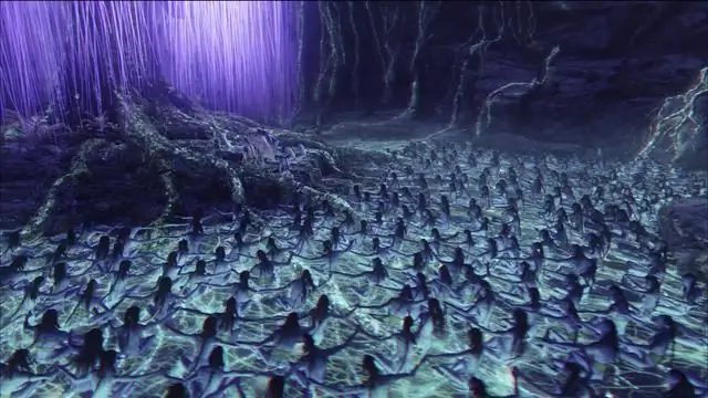 Avas būtība no Džeimsa Kamerona filmas Avatar Avas būtība no Džeimsa Kamerona filmas Avatar