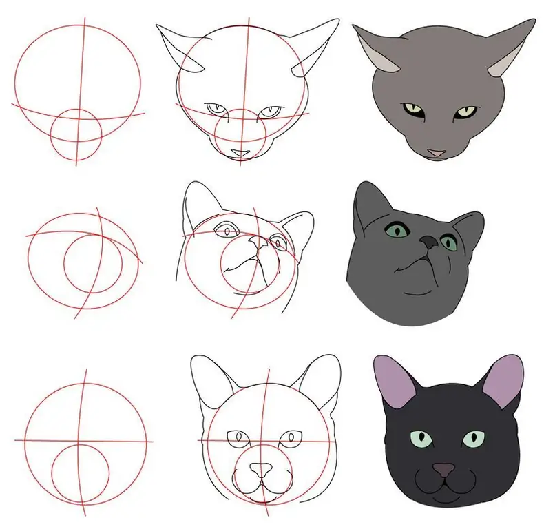 disegna una faccia da gatto