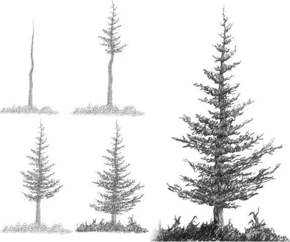 draw a Christmas tree step by step