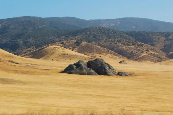 Bozkır karakalem