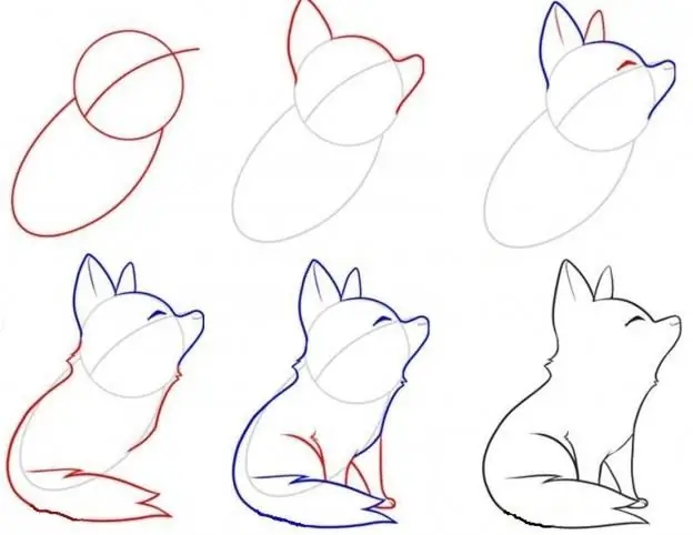 We will tell you how to draw a whole wolf and its face separately