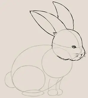 how to draw a rabbit step by step