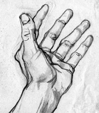 How to draw a hand correctly