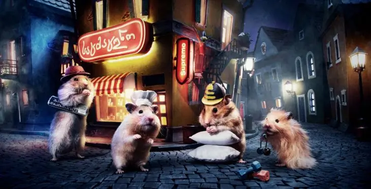 différents hamsters