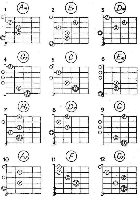 Comment commencer à jouer de la guitare : les bases pour les débutants, les connaissances de base et les fonctionnalités d'apprentissage