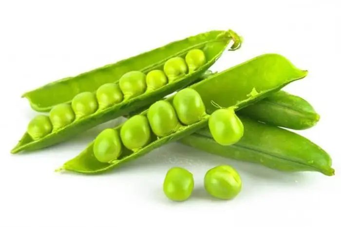 how to draw peas with a pencil step by step