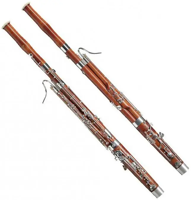 Bassoon is a musical instrument. Description, features