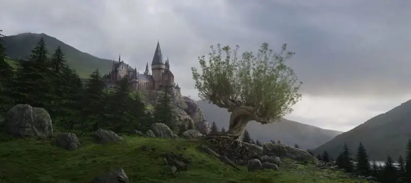 Whomping willow: beskrywing, magiese eienskappe en rol in die verhaal van Harry Potter