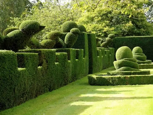 basics of topiary art