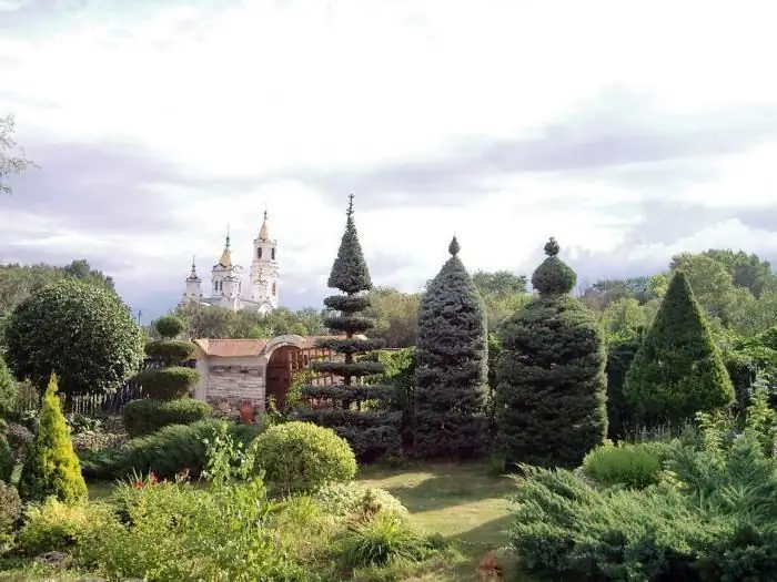 masters of topiary art