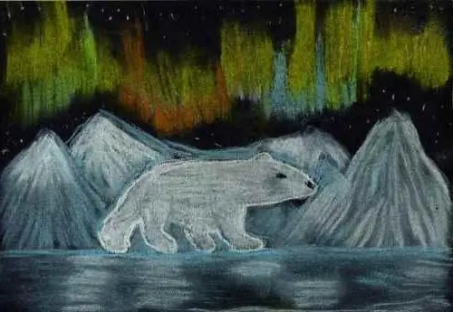 arctique dessiner dessin