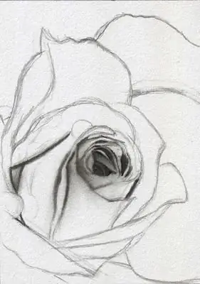 We draw flowers with a pencil