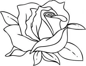 Come disegnare un fiore di rosa passo dopo passo