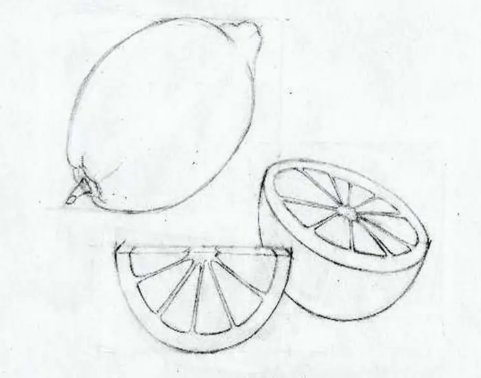 como desenhar um limão com um lápis passo a passo