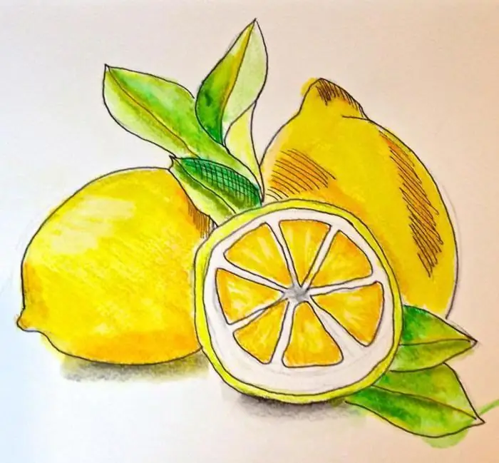 comedisegna un limone con una matita passo dopo passo per i principianti