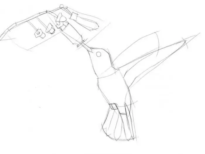 how to draw a hummingbird