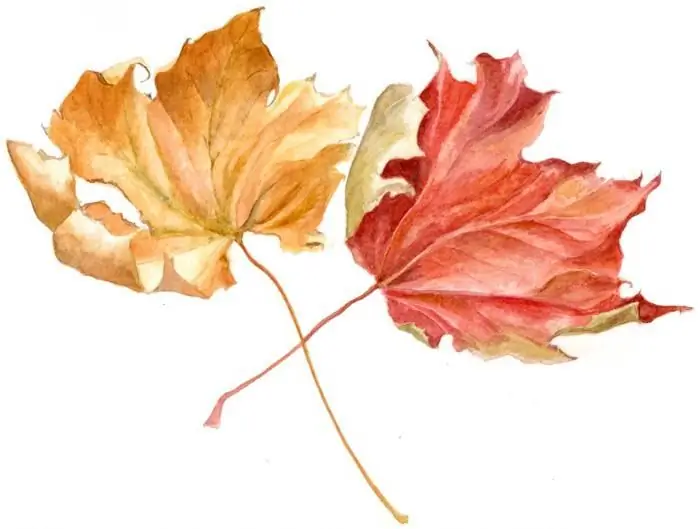 comment dessiner des feuilles d'automne étape par étape