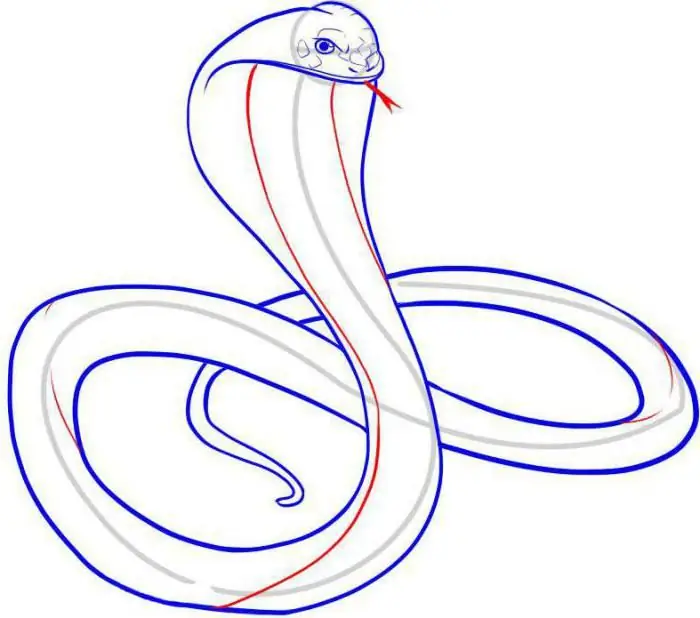 how to draw a cobra step by step