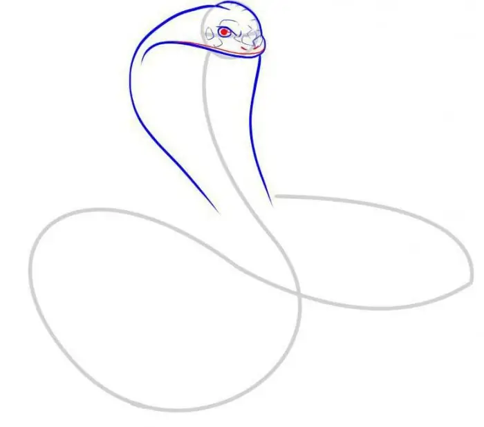 Come disegnare un cobra? Il modo più semplice