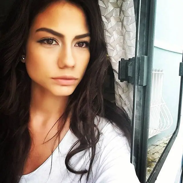 Jeta personale dhe biografia e Demet Ozdemir