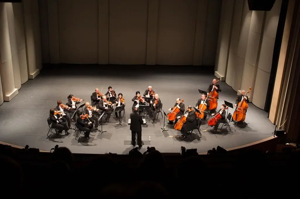 Chamber music: what is a chamber orchestra?